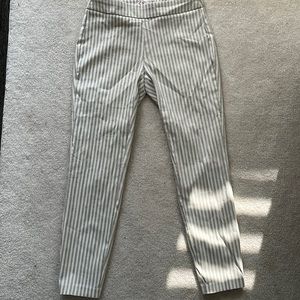 Striped Dress pant